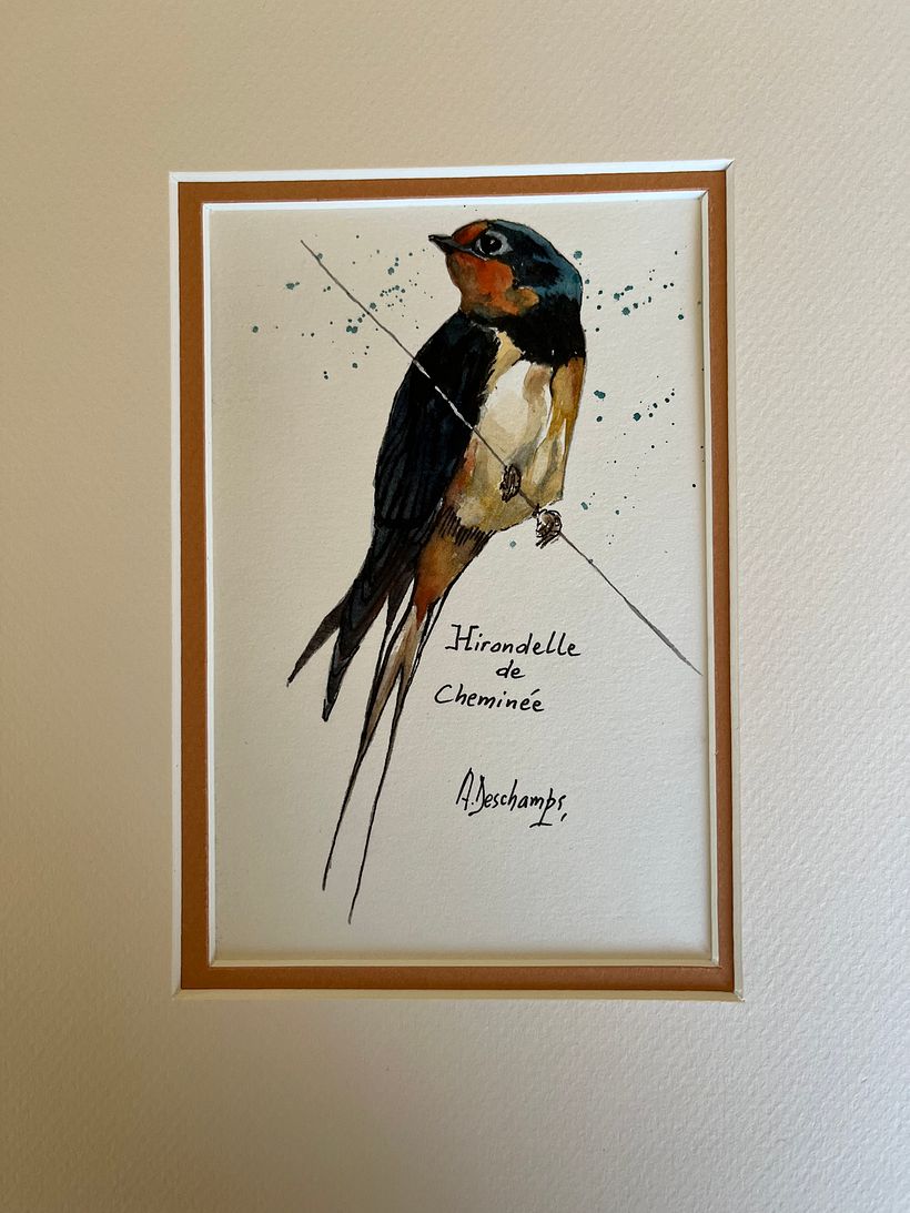 Mon projet du cours : Techniques artistiques d'aquarelle pour illustrer les oiseaux 2