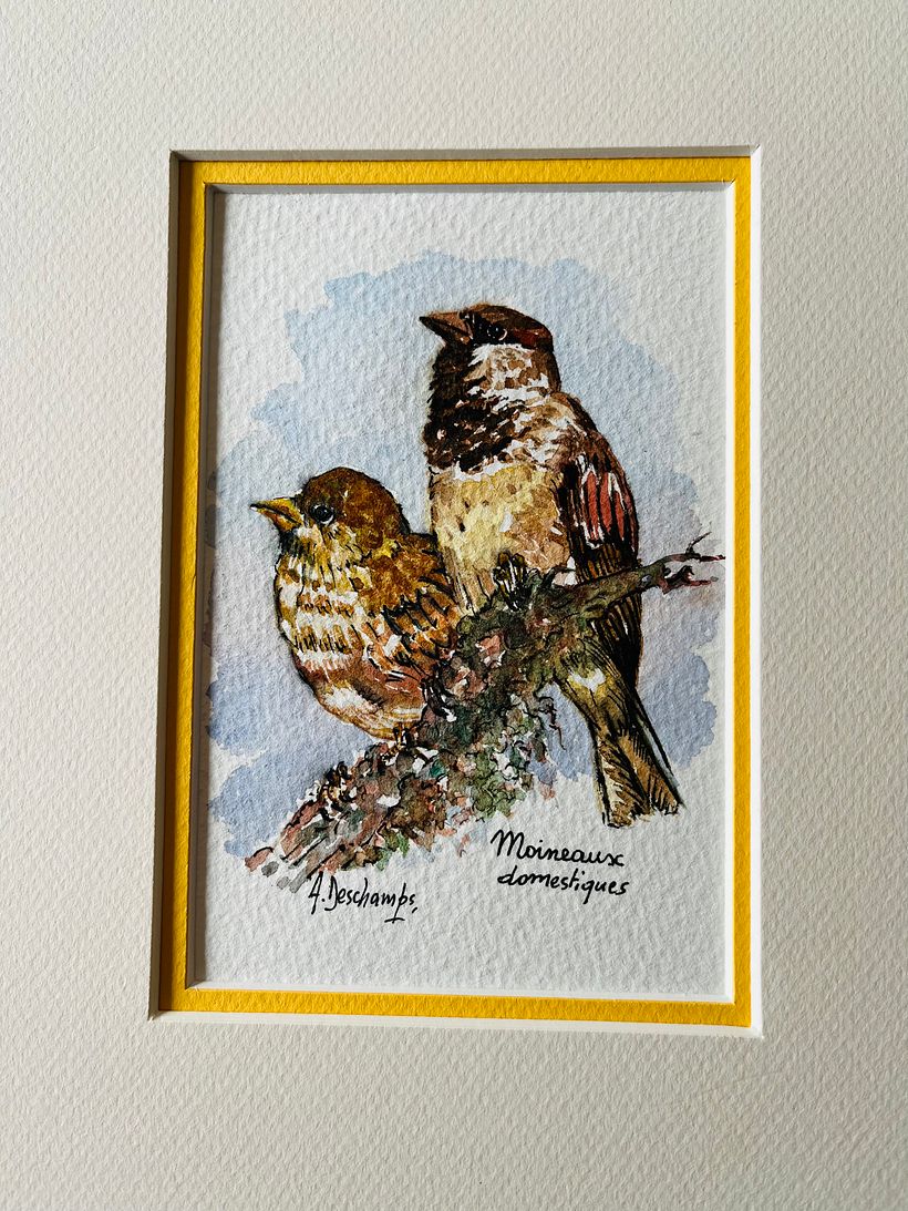 Mon projet du cours : Techniques artistiques d'aquarelle pour illustrer les oiseaux 3