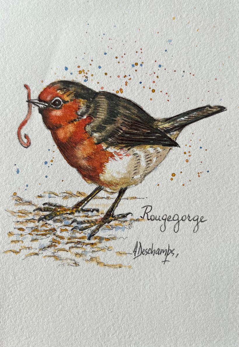 Mon projet du cours : Techniques artistiques d'aquarelle pour illustrer les oiseaux 4