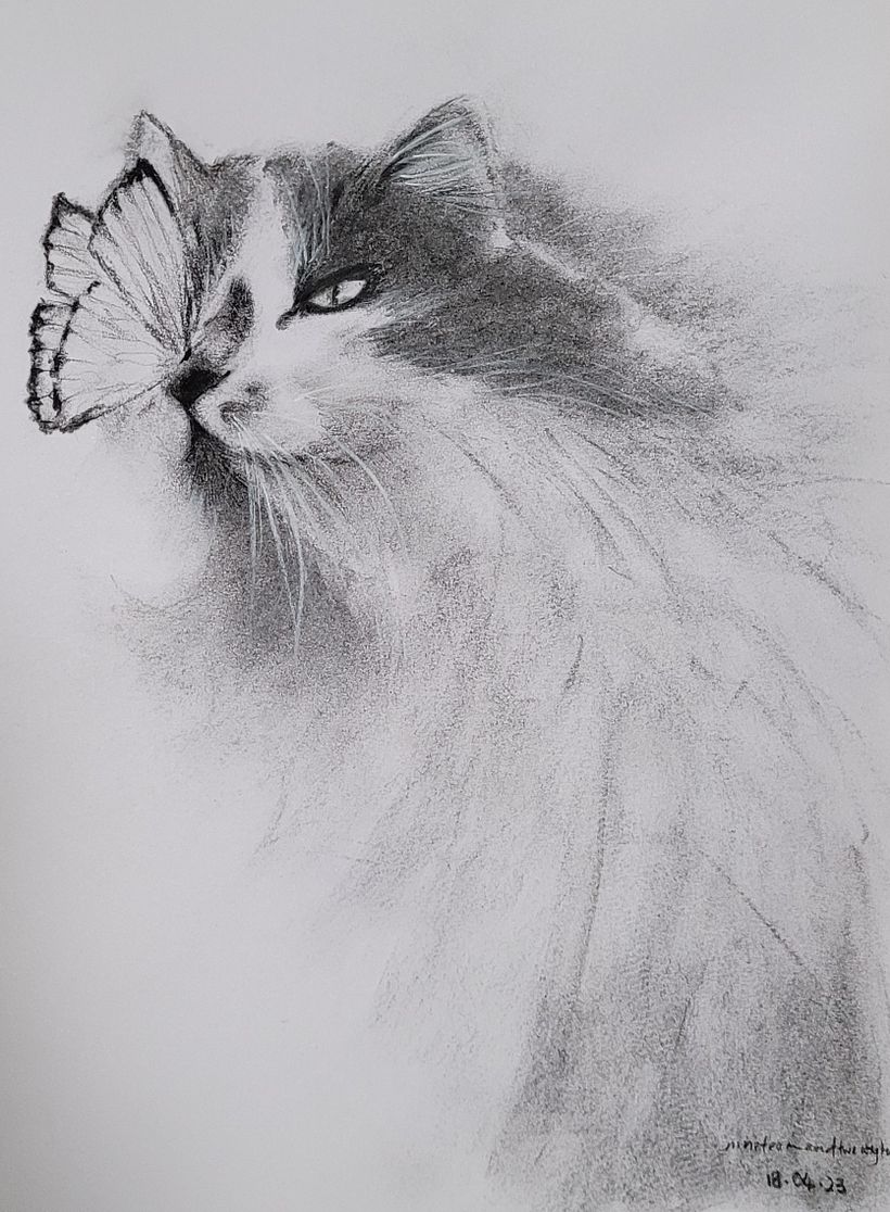 My project for course: Expressive Drawing with Charcoal 2