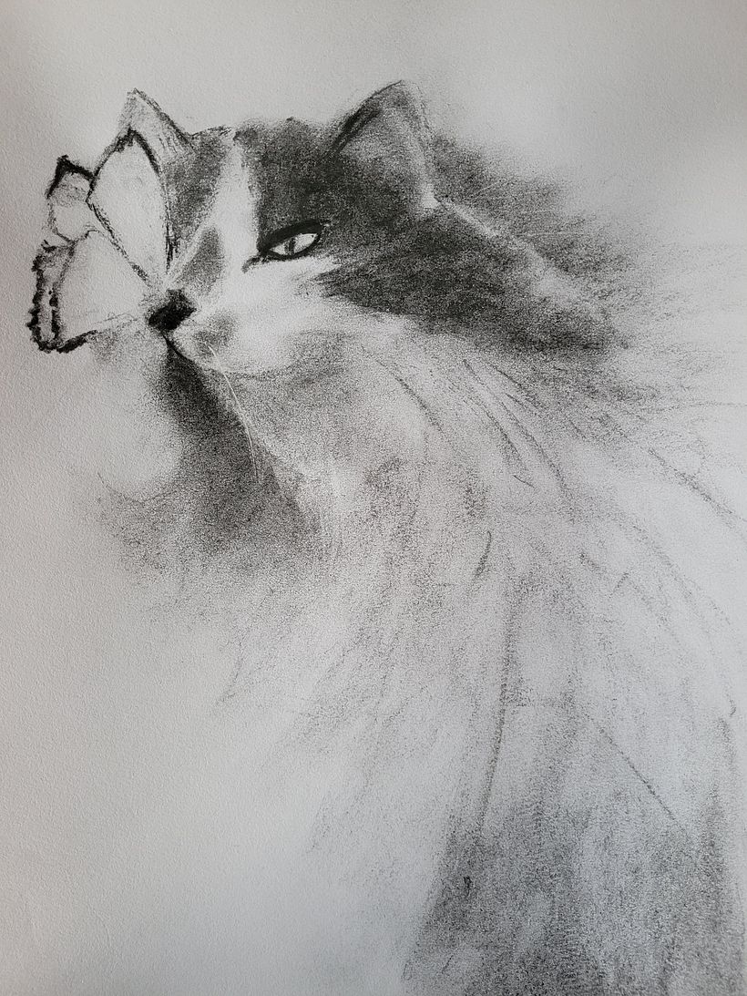 My project for course: Expressive Drawing with Charcoal 3