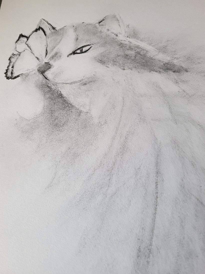 My project for course: Expressive Drawing with Charcoal 4