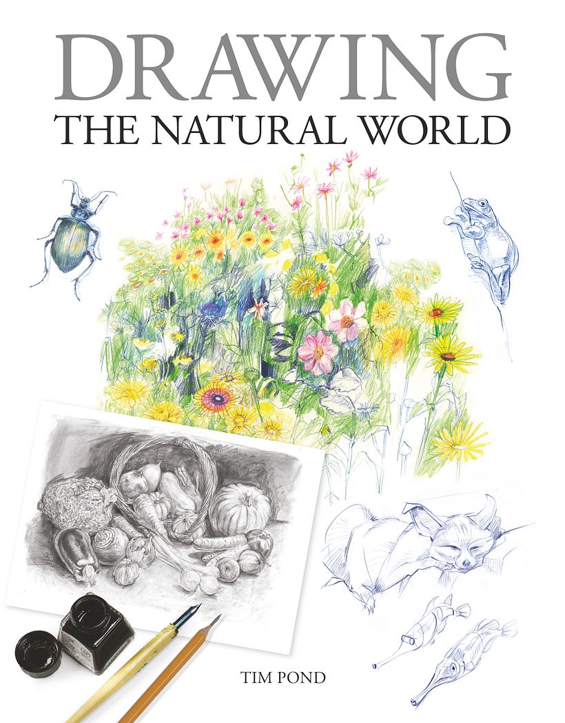 Drawing the Natural World 5