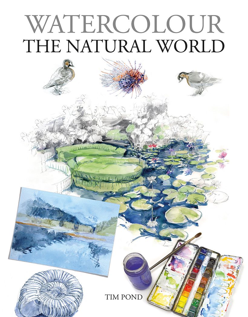Watercolour the Natural World 3