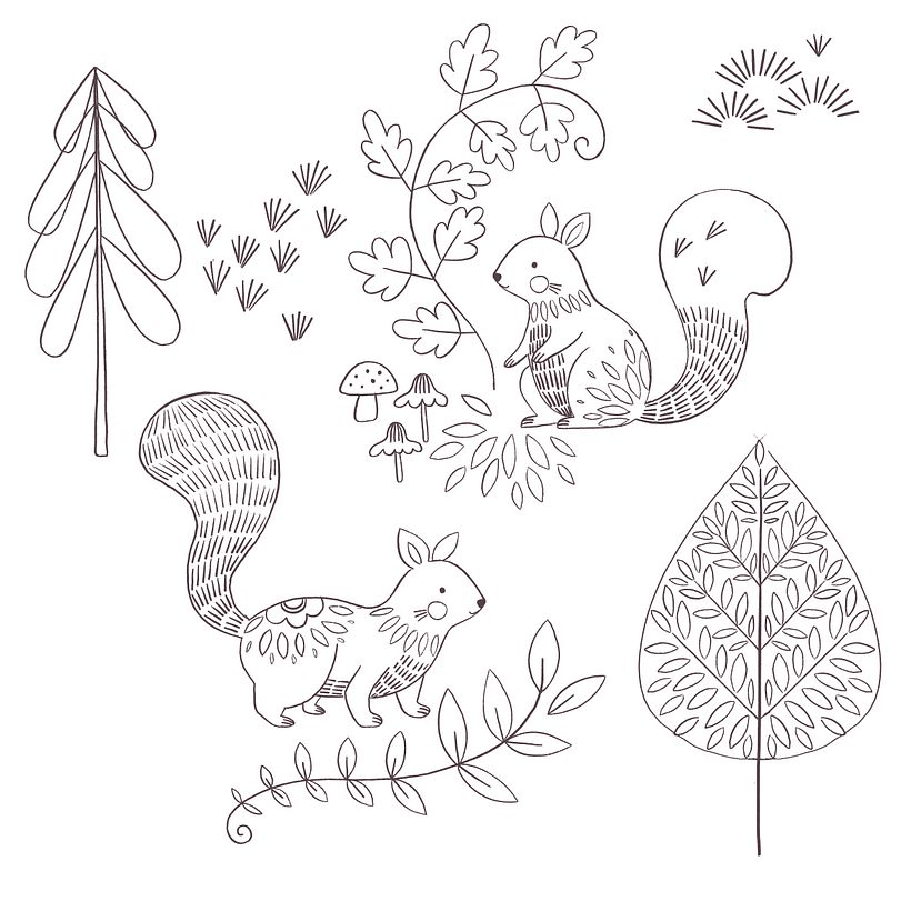 Squirrel sketches