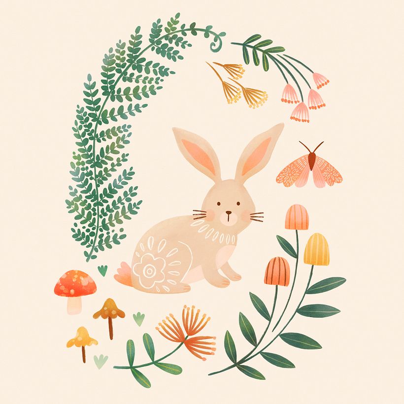 Create coordinate illustrations