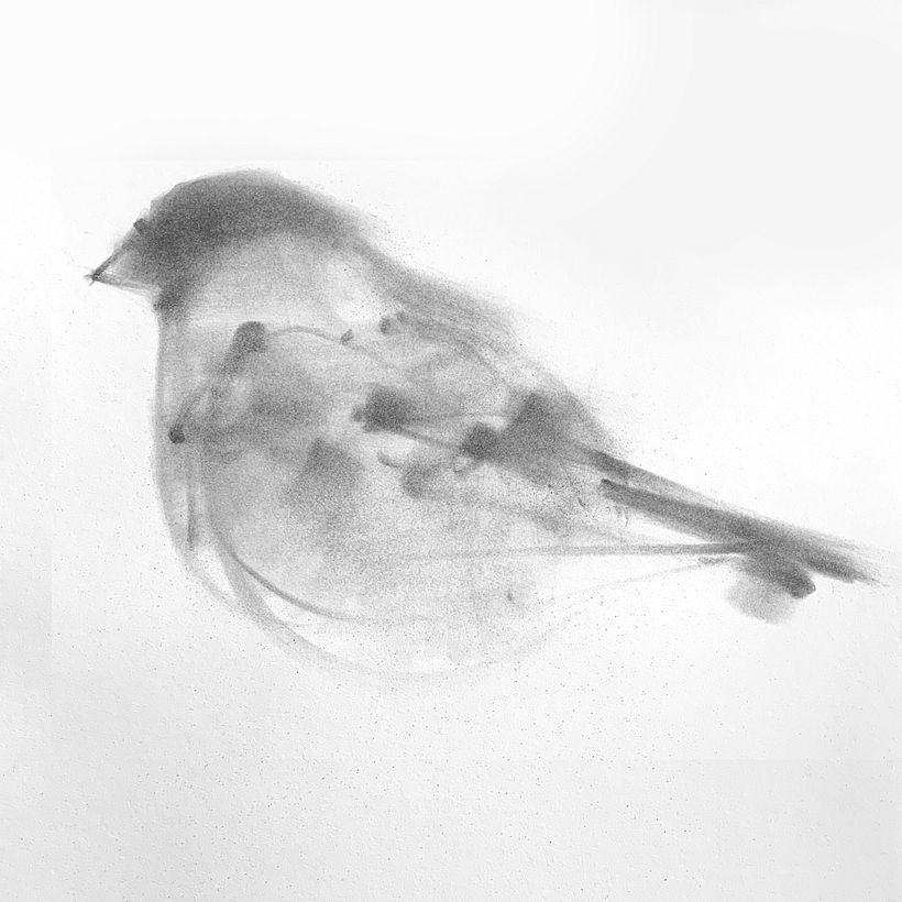 2, gradually add details