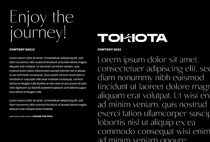 Conceptos visuales y rebranding para Tokiota 4