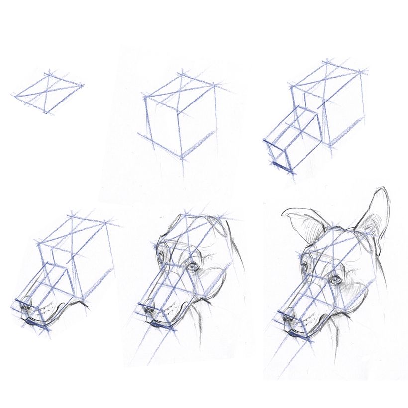 Drawing the Natural World 16