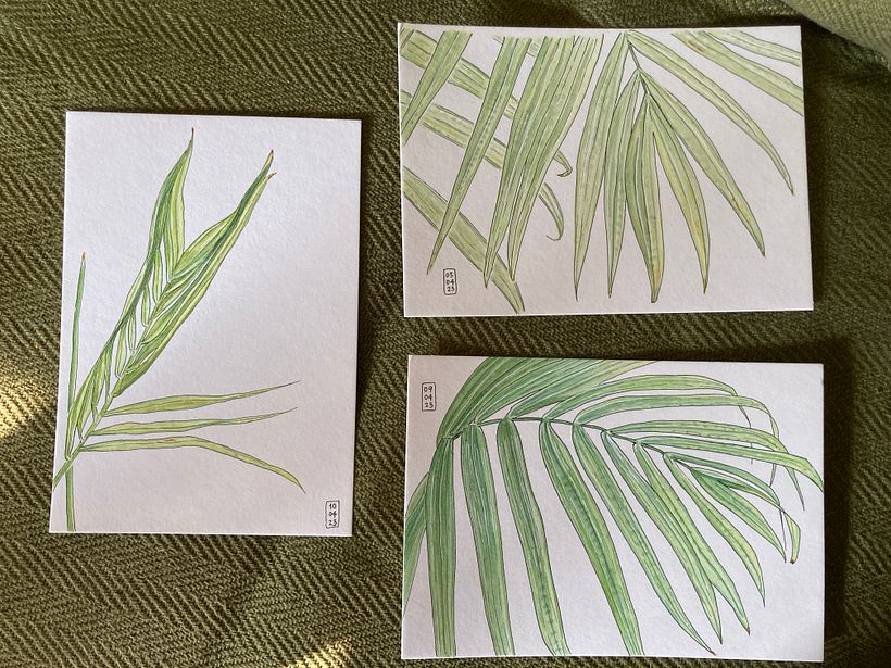 My first watercolor painting project - the model was my Areca Palm pot!