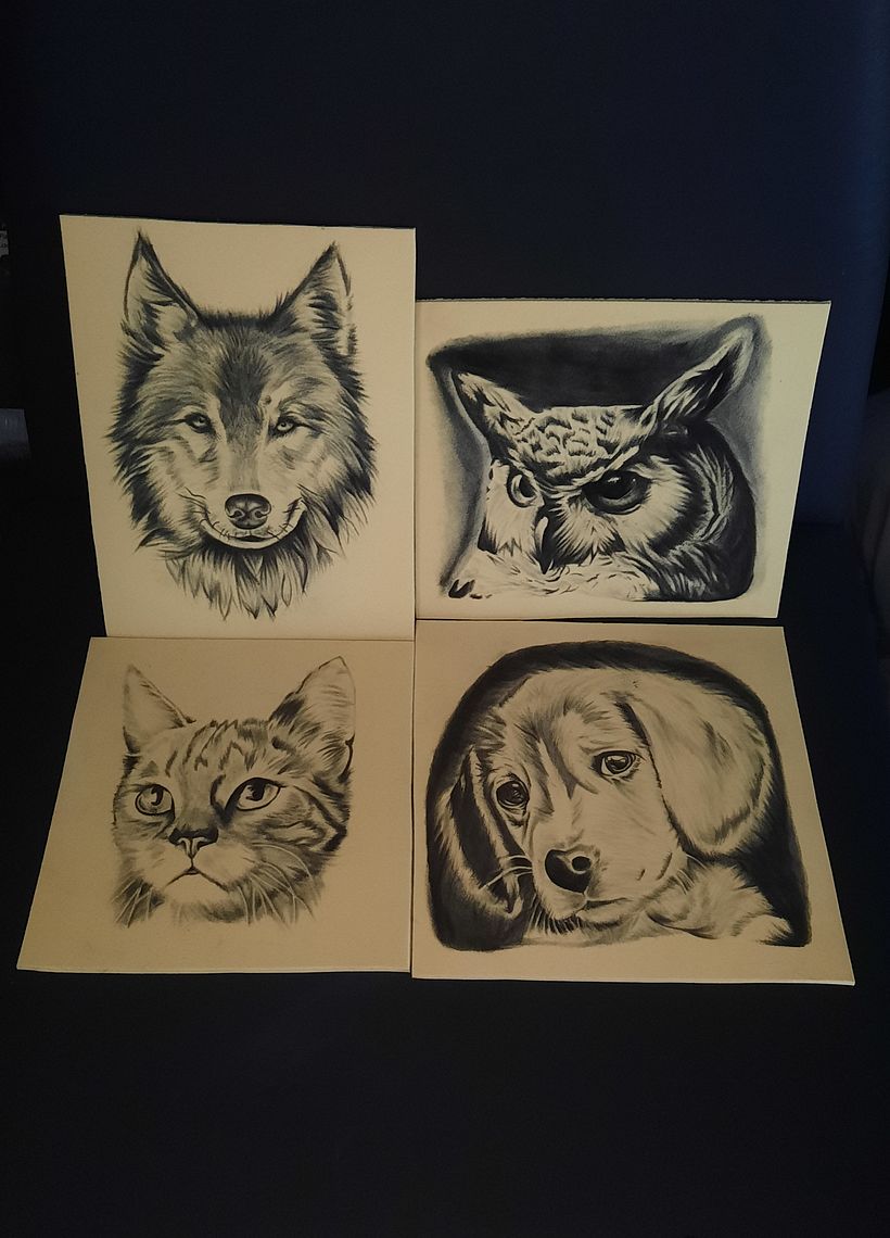 Practica en piel sintética