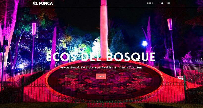 Ecos del Bosque 4