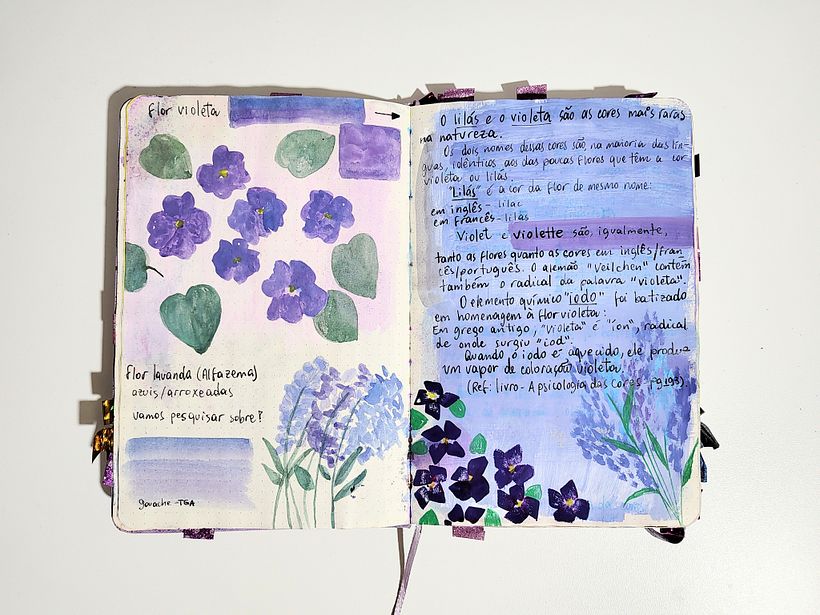 MarArtesOficial - Notas de estudo para meu projeto púrpura