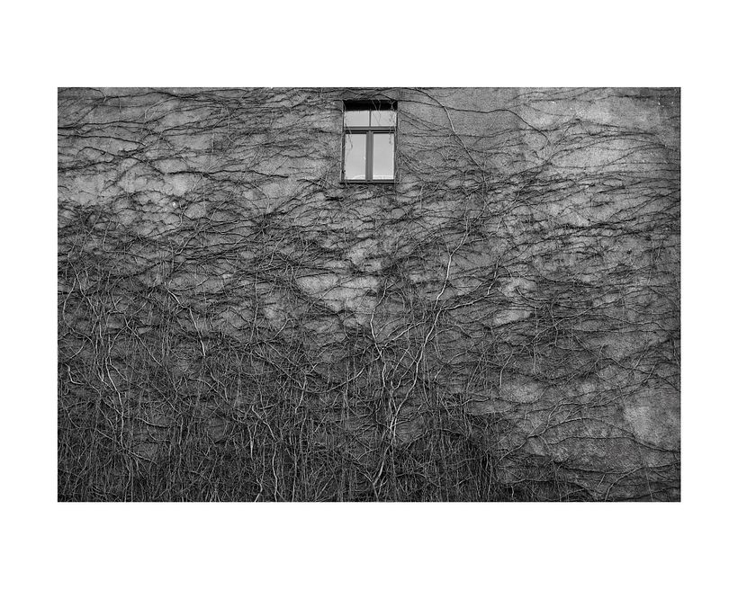 Riga, Silent Passages 12