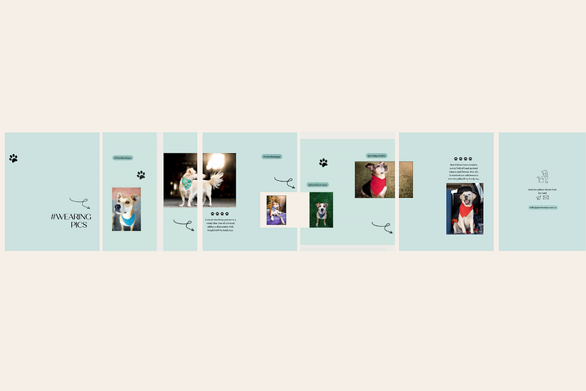 My project for course: Instagram Feed Design with Canva 6
