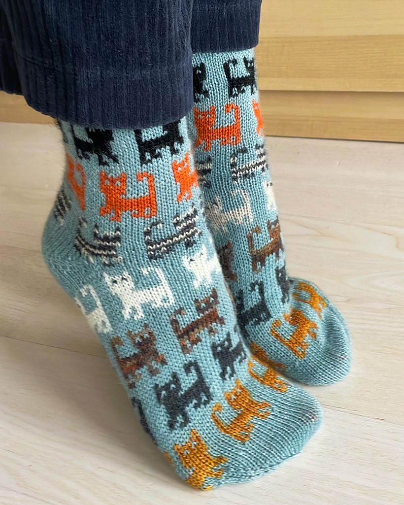 Herding Cats socks 2