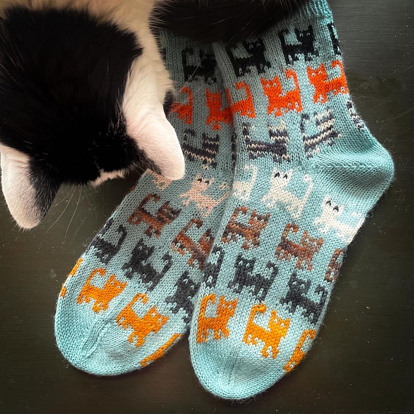 Herding Cats socks 3