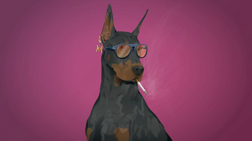 Vector Illustrations 3