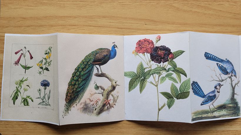 Accordion book Botanical art and birds 1
