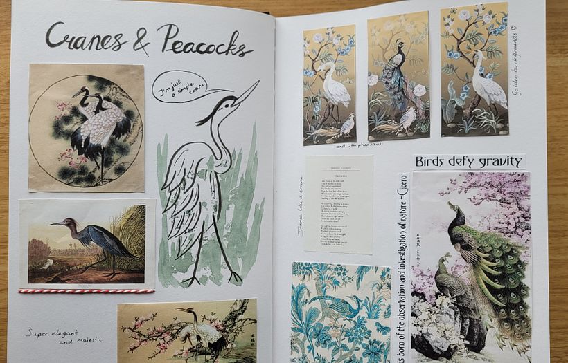 Cranes and Peacocks; more research and inspiration