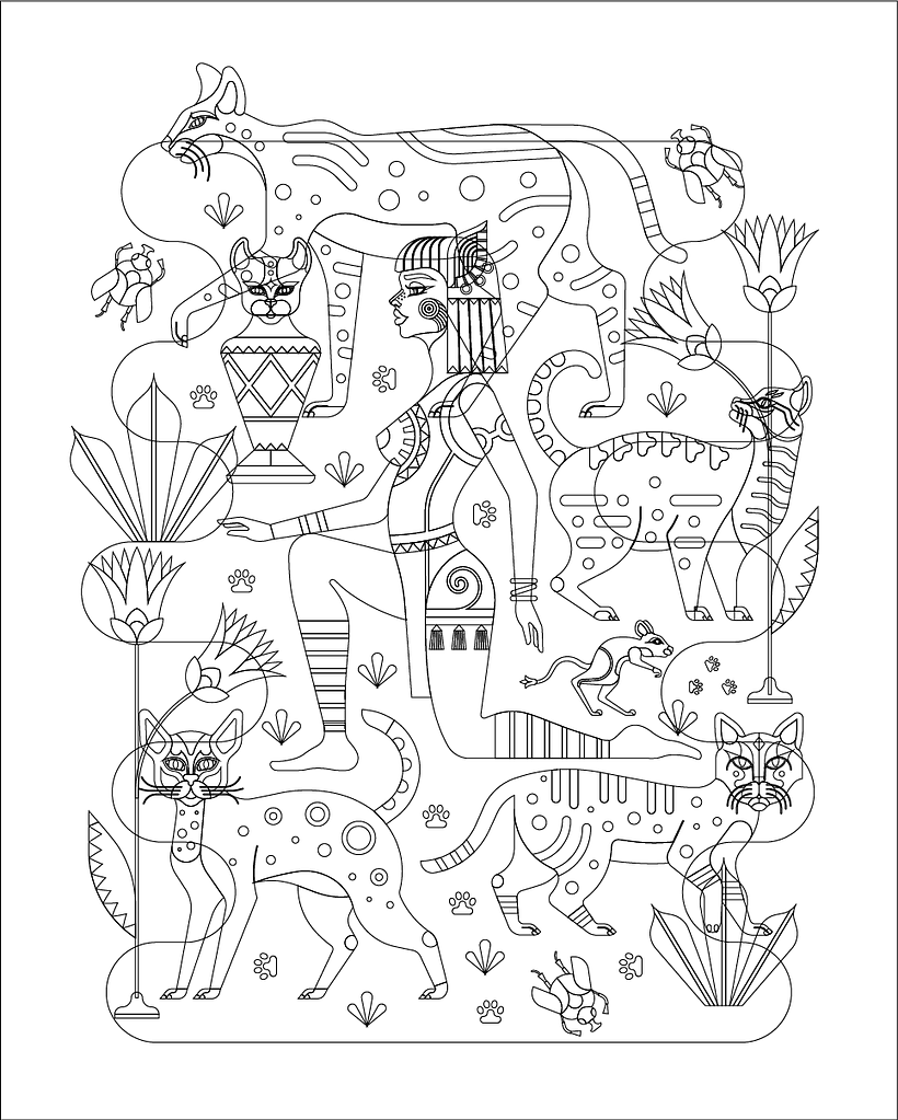 Outline visualisaton