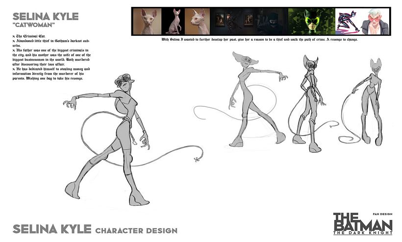 Character Design - Batman Fanmade Series 9