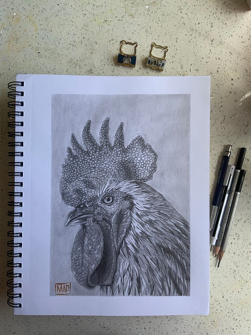 Gallo (grafito ) 1