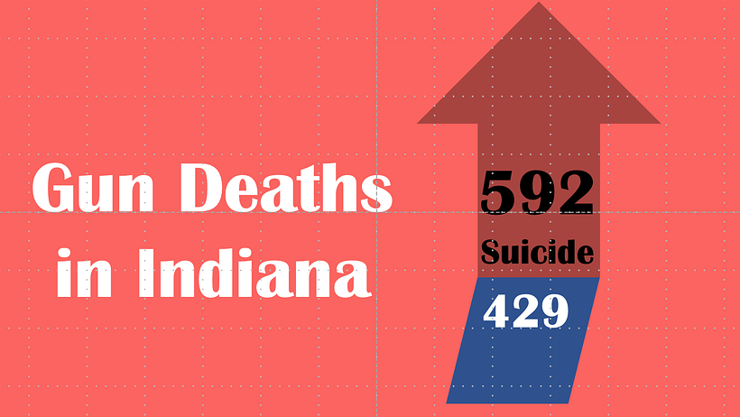A cry to end Gun Violence