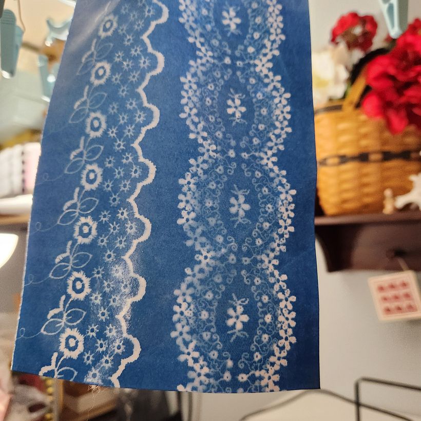 My project for course: Cyanotype: Printing with Light 2