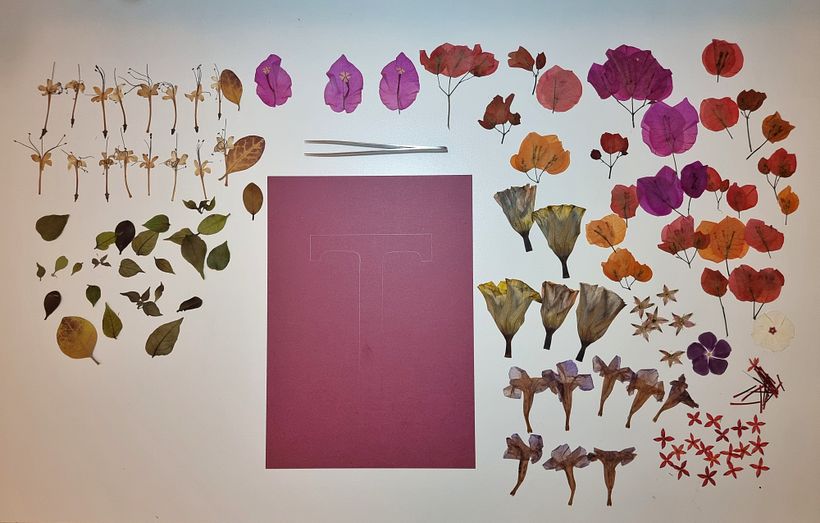 My project for course: Basic Botanical Pressing Techniques 2