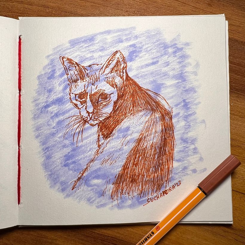 My project for course: Sketchbook Illustration with Pen: Embracing Mistakes 7