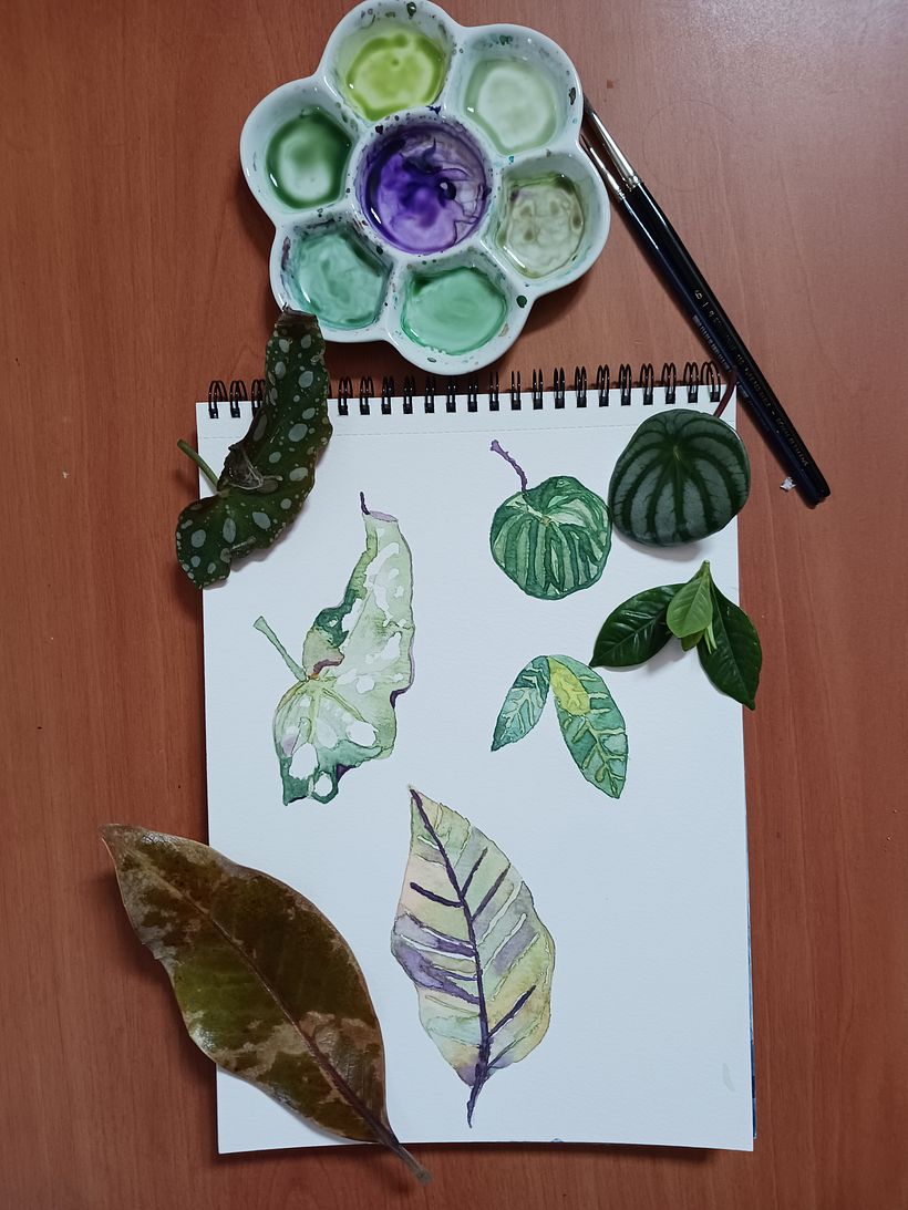 My project for course: Botanical Watercolor for Patterns 6