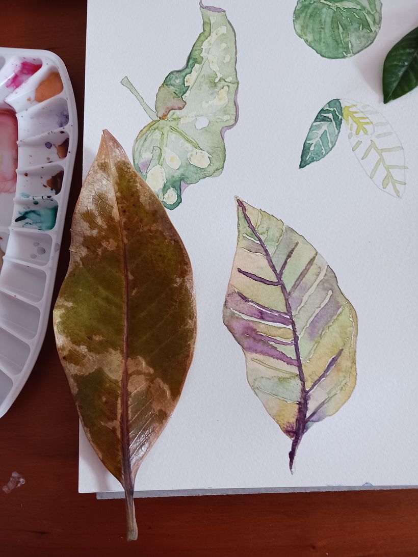 My project for course: Botanical Watercolor for Patterns 4