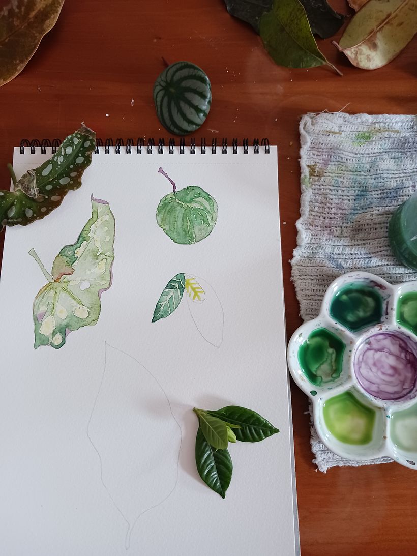 My project for course: Botanical Watercolor for Patterns 5