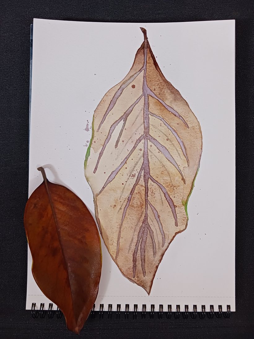 My project for course: Botanical Watercolor for Patterns 2