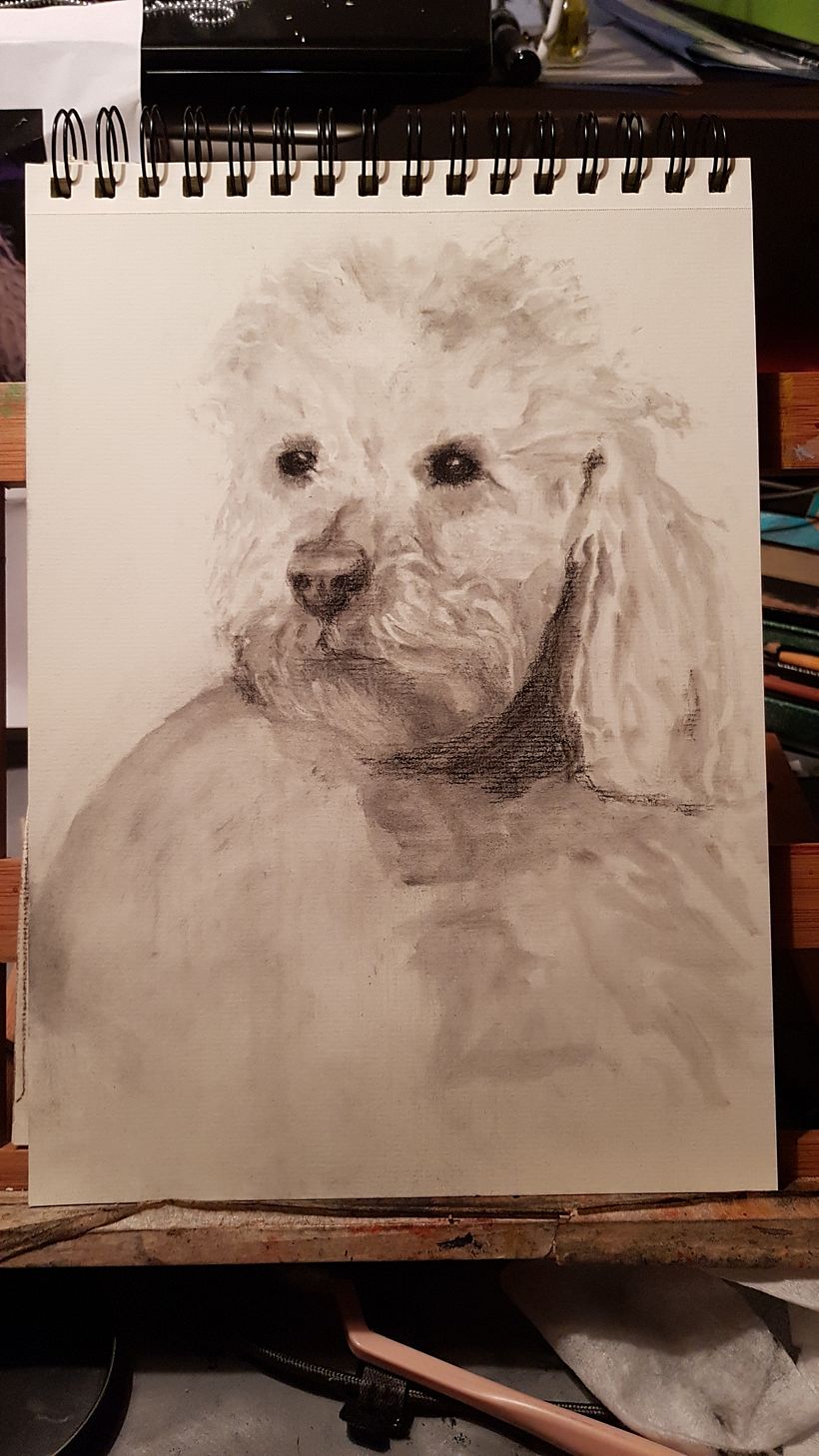 My project for course: Expressive Drawing with Charcoal 3