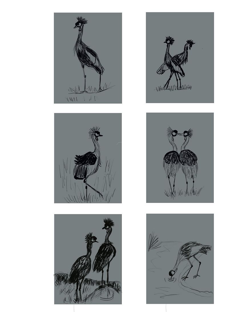 My project for course: Naturalist Animal Illustration with Procreate 3