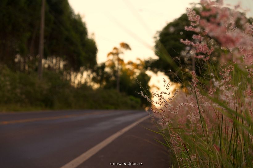 A day on the farm. 3