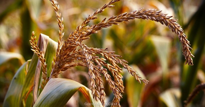 A day on the farm. 3