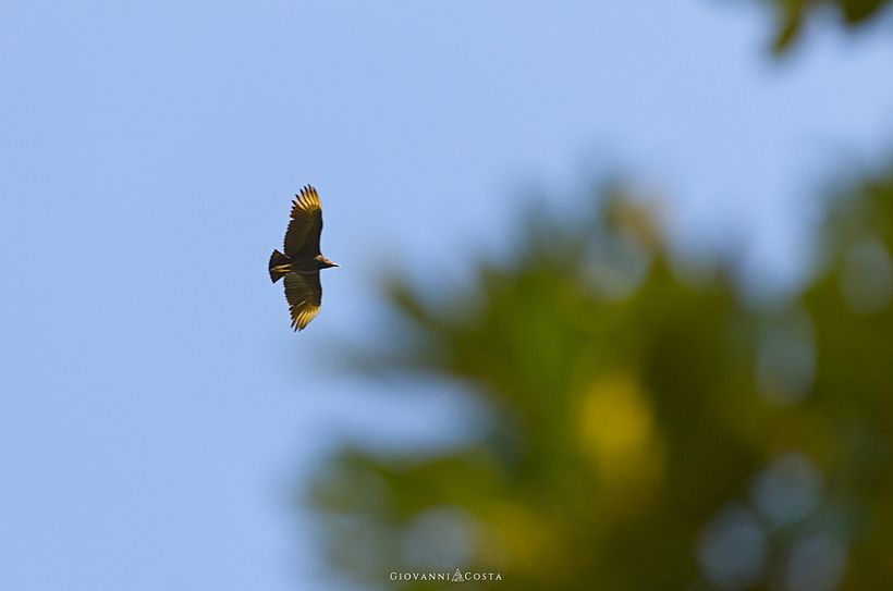 A day on the farm. 4