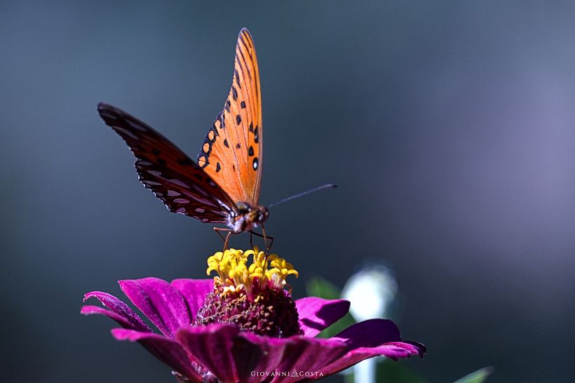 A day on the farm. 5