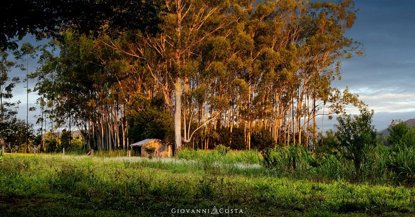 A day on the farm. 7