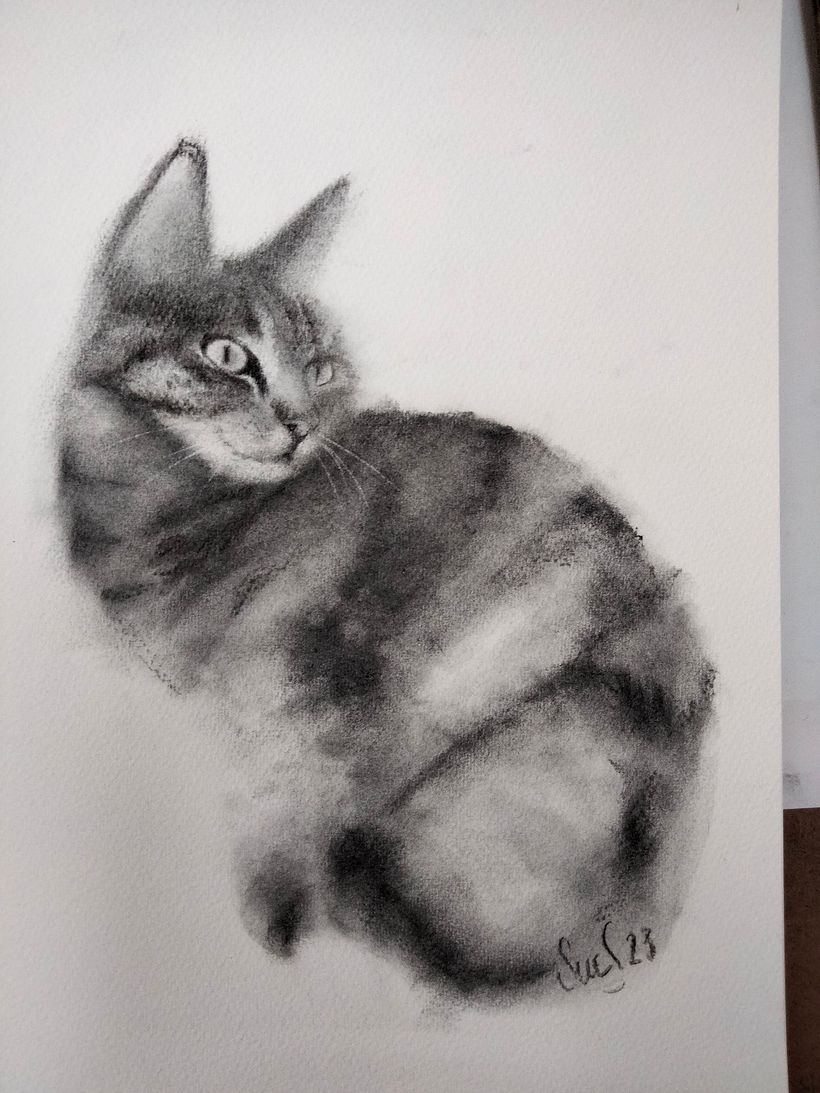 Project 3, second go at the cat. I'm much happier with this one. Used cotton wool, fingers,  blending stumps and paintbrush 
