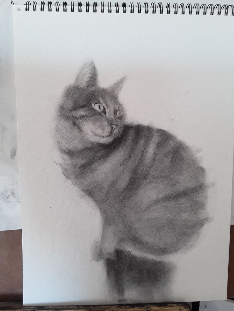 Project 2. First go at the cat.  Lacks expression.  I found a couple of nice marks which encouraged me