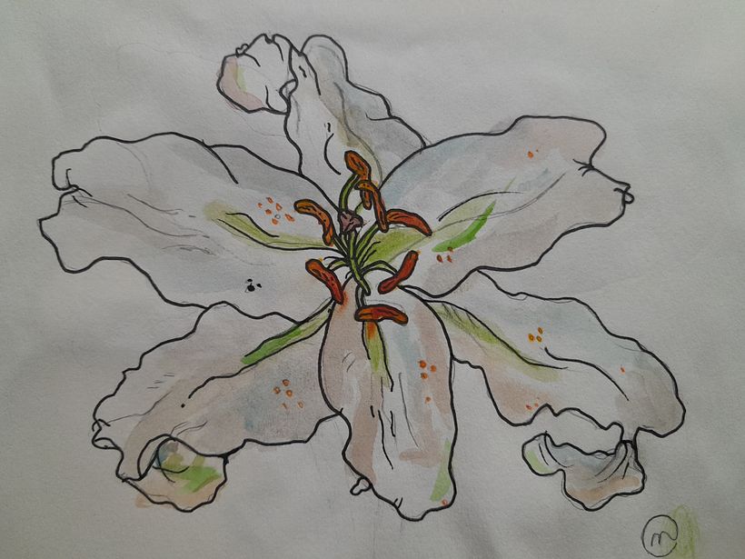 My project for course: Botanical Sketchbooking: A Meditative Approach 6