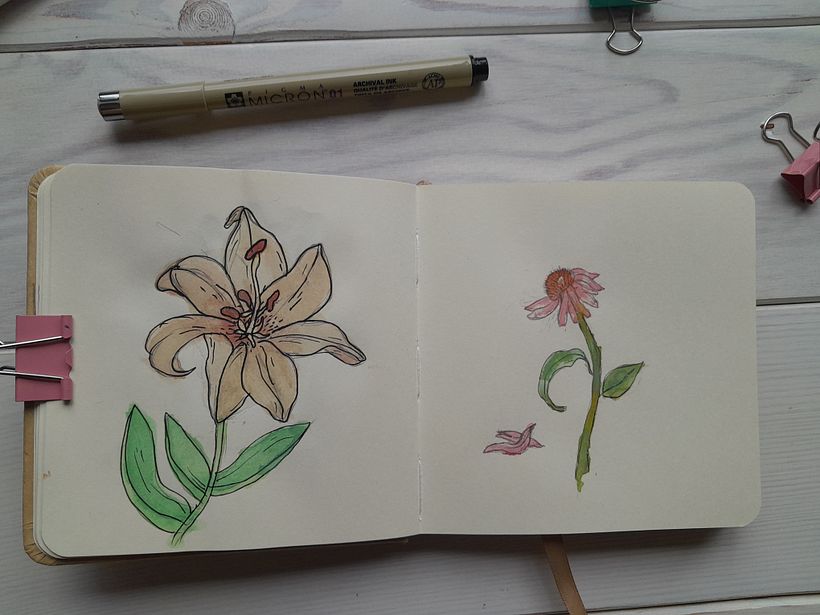 My project for course: Botanical Sketchbooking: A Meditative Approach 7
