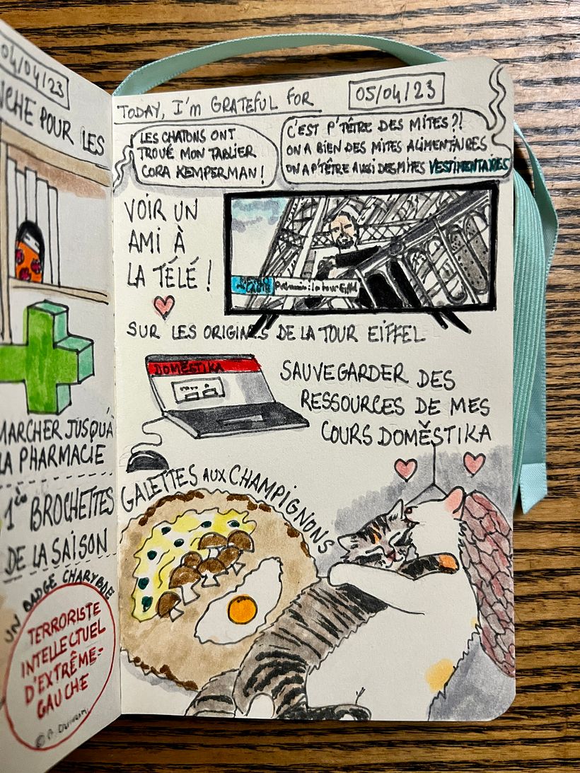 We saw a friend on TV, he is from the Eiffel family. Made mushroom pancakes while kittens cuddled <3