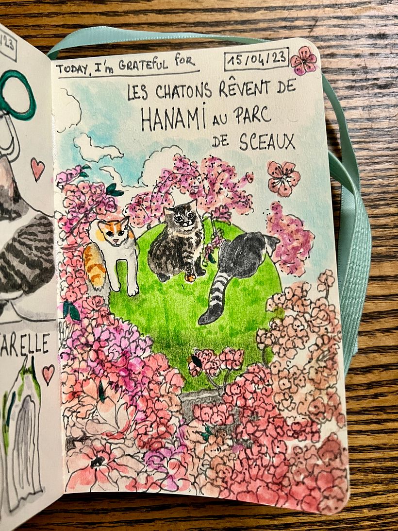 It was Hanami and I dreamed to take the kittens to Parc de Sceaux and frolic under the cherry trees in full bloom...