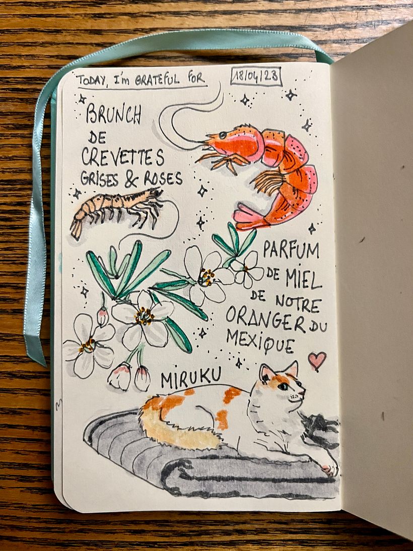 We had shrimps for brunch, and I walked in our garden to enjoy the perfume of the blooming Mexican orange tree...