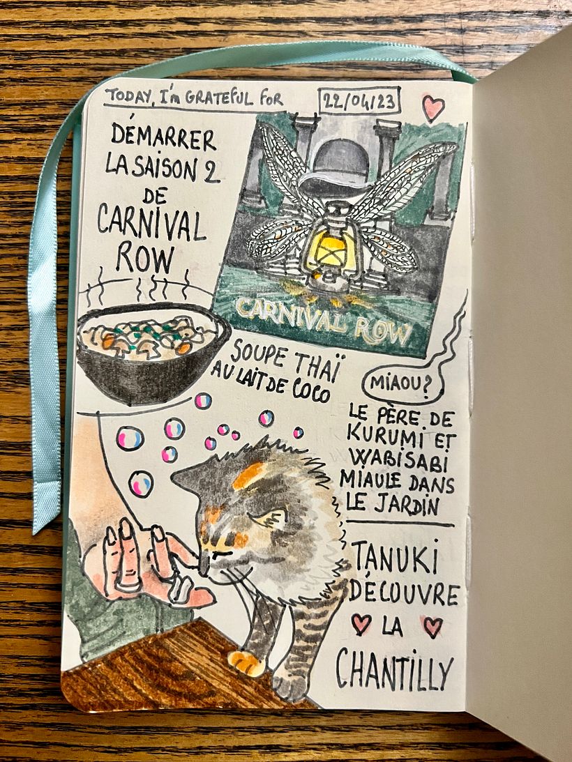 Start watching a new series, cooked thai coconut soup, gave Tanuki her first taste of whipped cream, and a feline visit